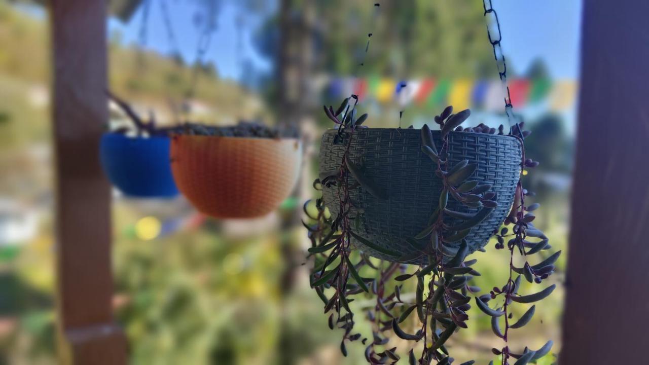 Tenzo Homestay Bomdila 외부 사진